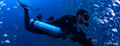 Rebreather Experience