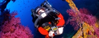 Expedition Trimix Diver (OC, Rebreather)