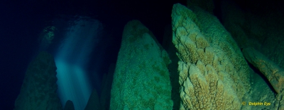 Adv. Cave or Mine - Survey Diver (OC, Rebreather)