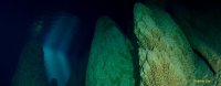 Adv. Cave or Mine - Survey Diver (OC, Rebreather)
