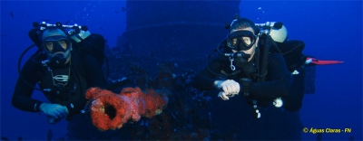 Trimix Diver (OC, Rebreather)